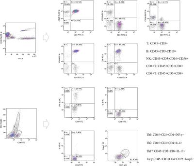 Dynamic Immune Function Changes Before and After the First Radioactive Iodine Therapy After Total Resection of Differentiated Thyroid Carcinoma